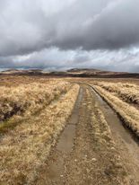Looking north to Ben Dorrery on return section of Loch Calium trail run